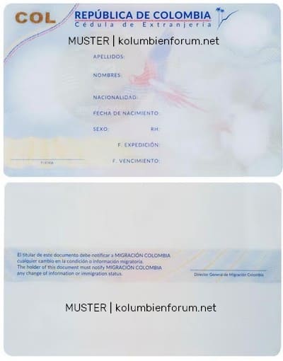 Bild